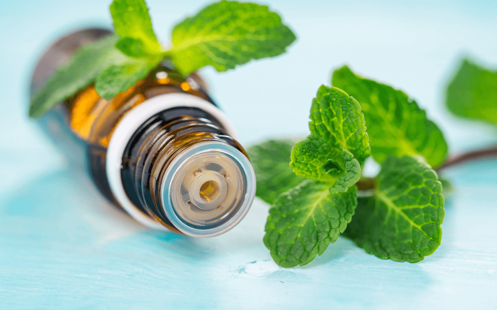 Mosquito Essential Oil Blend – Essentially Natural