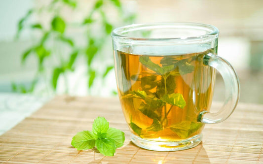 Refreshing Spearmint: A Guide to Its Uses and Benefits