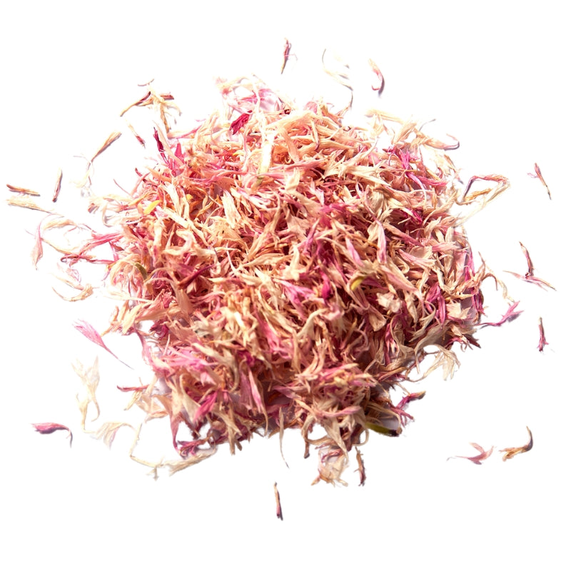Cornflowers - Pink (Centaurea cyanus) Dried - Bulk