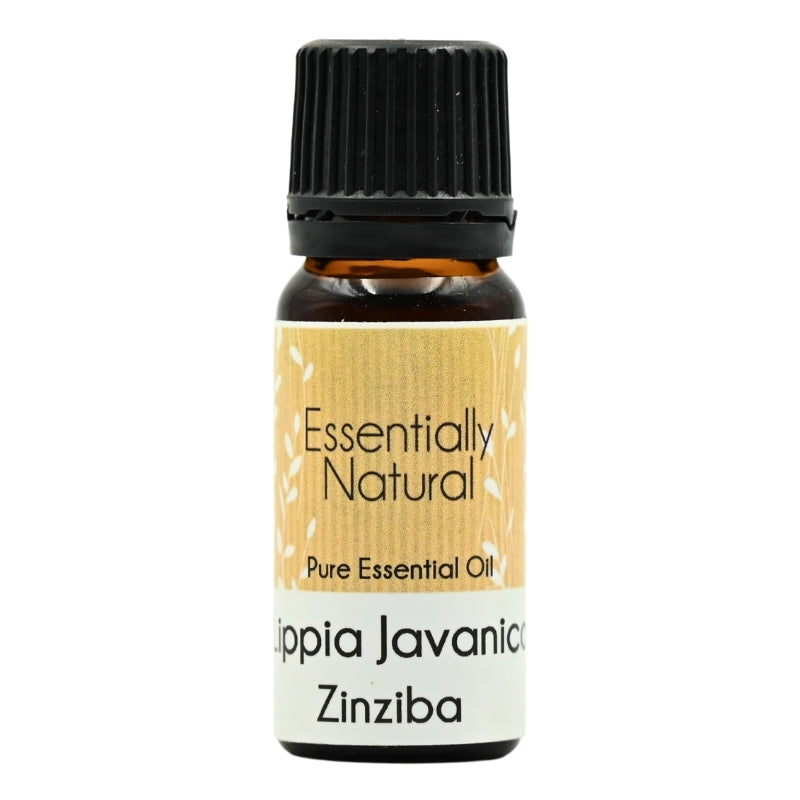 Essentially Natural Lippia Javanica (Zinziba) Pure Essential Oil
