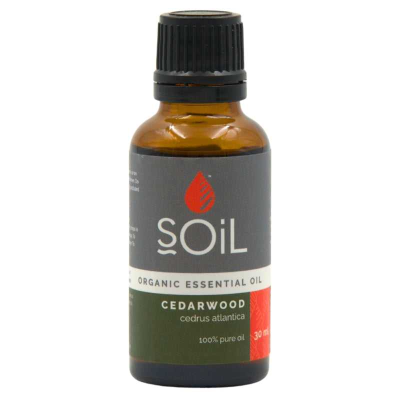 Soil Organic Cedarwood Essential Oil (Cedrus atlantica)