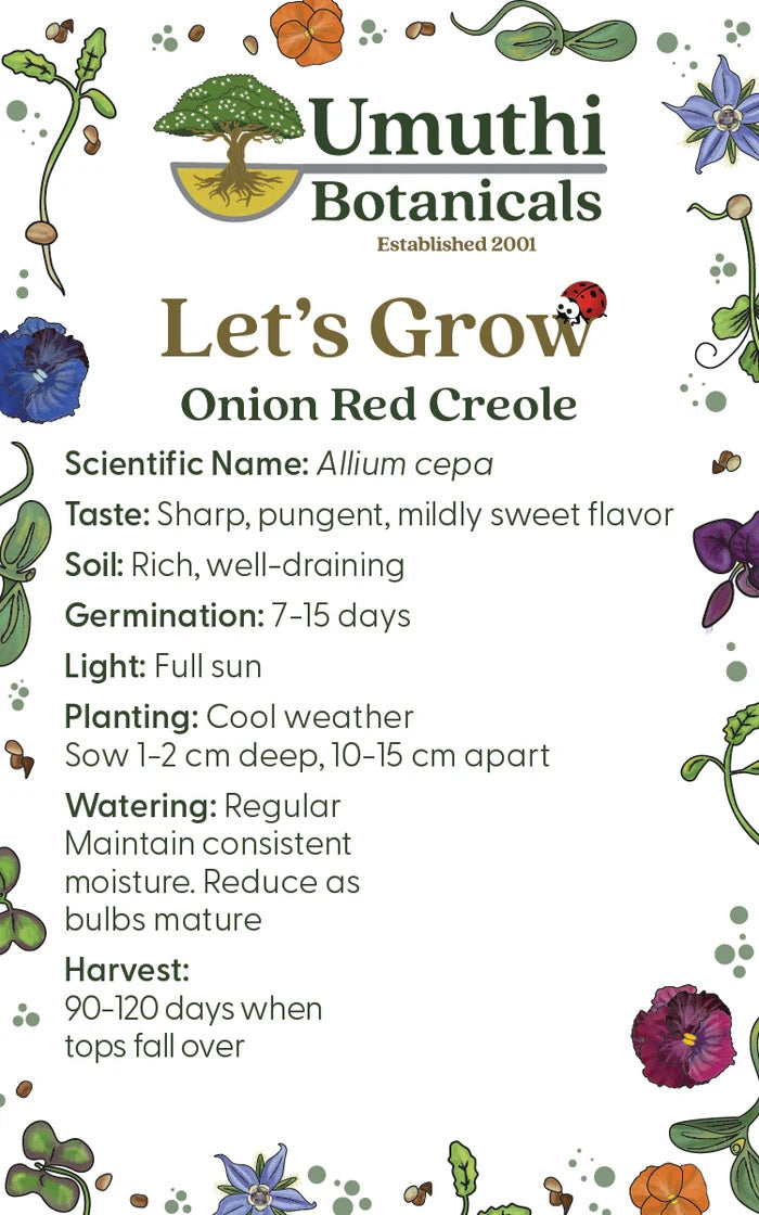 Umuthi Onion (Red Creole) Seeds