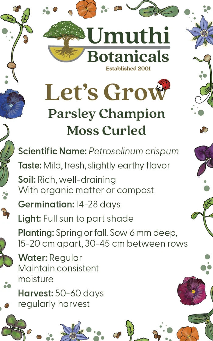 Umuthi Parsley Herb Seeds