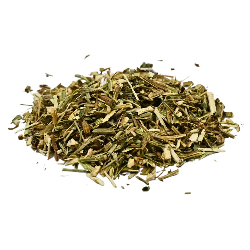 Wild Chicory Herb (Cichorium intybus) Dried - Bulk
