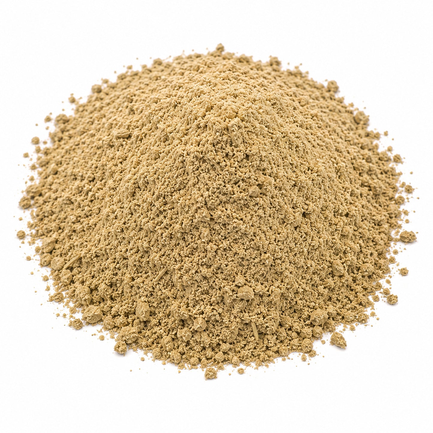 Angelica Root Powder (Angelica archangelica) - Bulk