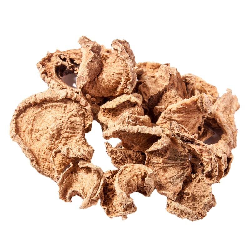 Devil's Claw Cut (Harpagophytum procumbens) Dried - 100g