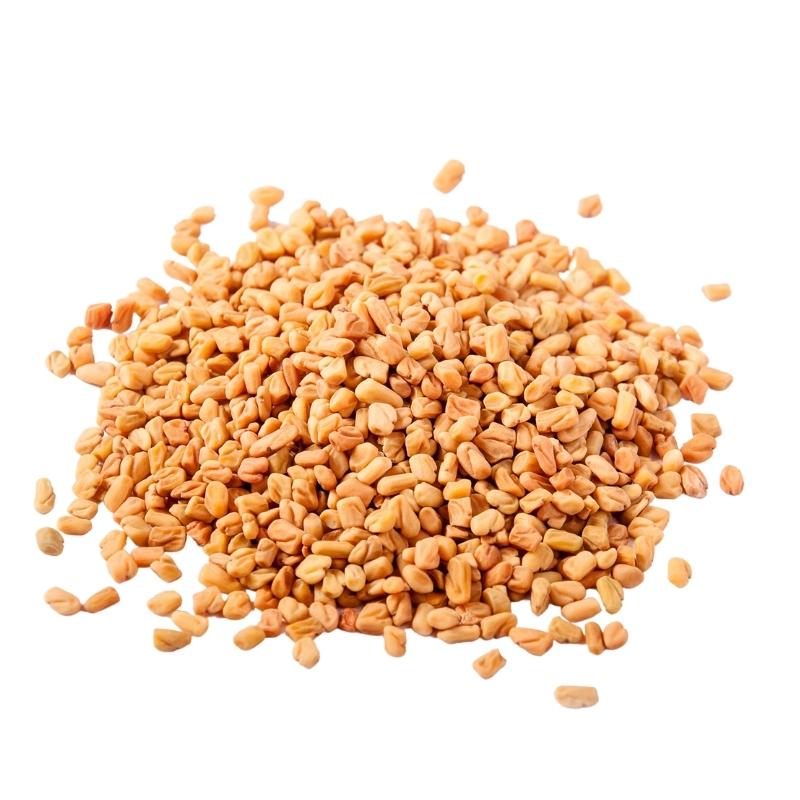 Fenugreek Seed (Trigonella foenum-graecum) Dried - Bulk