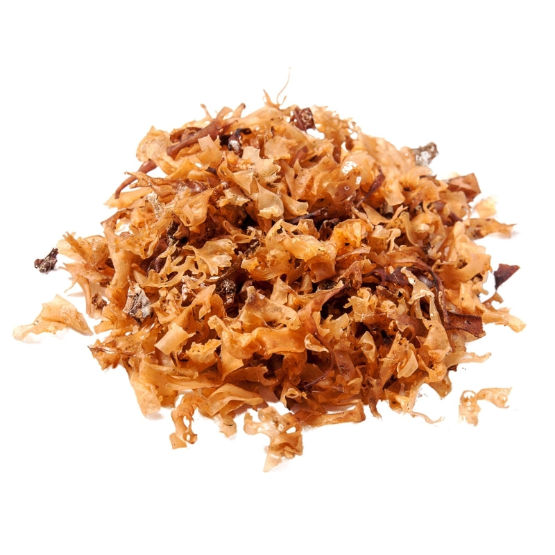 Dried Carrageen / Irish Moss Cut (Chondrus crispus) - 75g