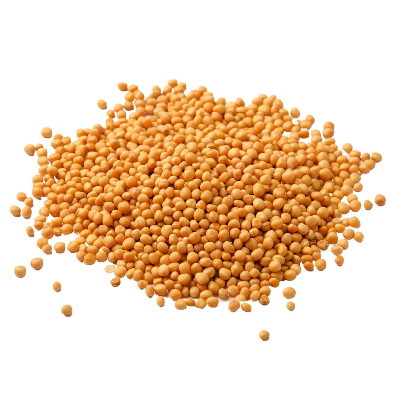 Yellow Mustard Seeds (Brassica alba) Dried - 100g