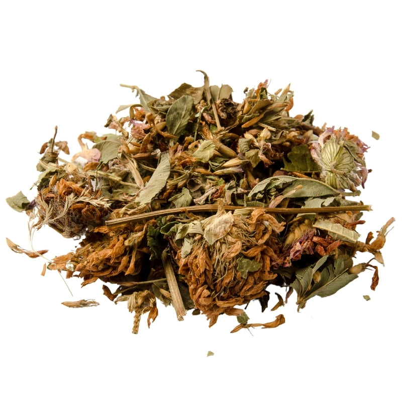 Red Clover (Trifolium pratense) Dried - 60g