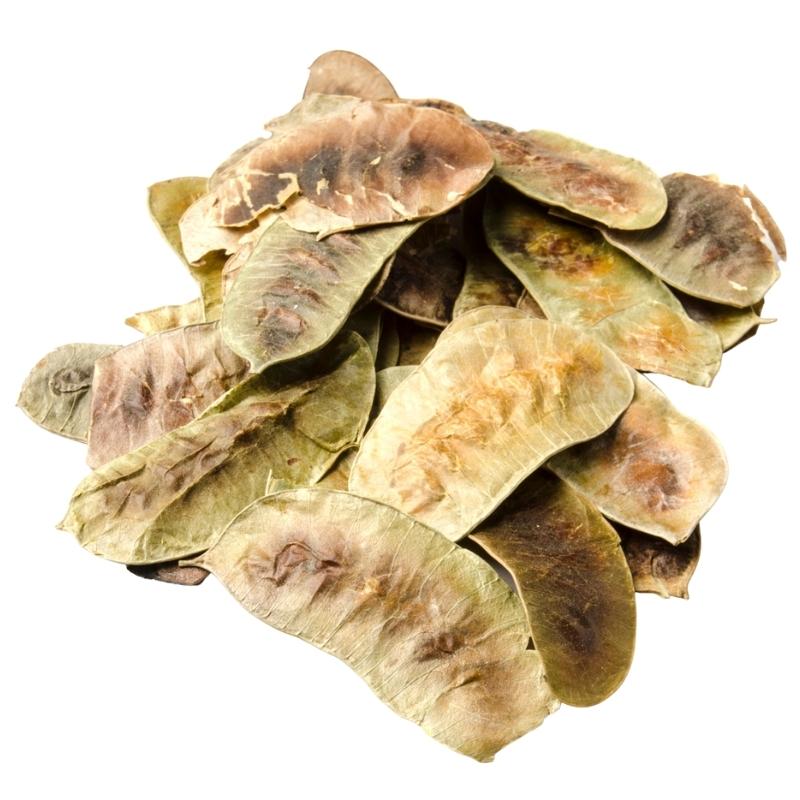 Senna Pods (Cassia angustifolia) Dried - Bulk