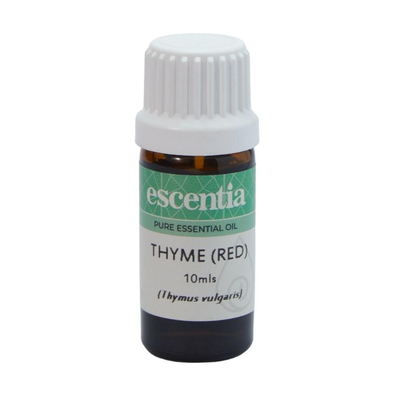 Escentia Thyme (Red) Pure Essential Oil (Thymus vulgaris)