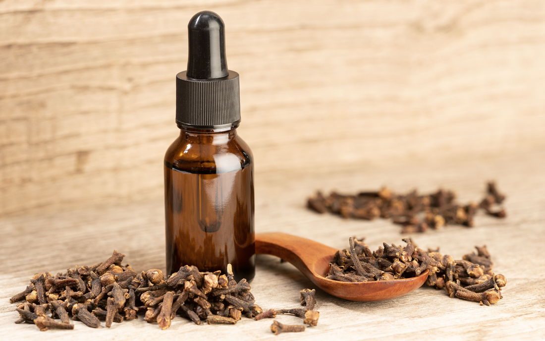 Transform Your Skin With Cloves: Benefits and Use