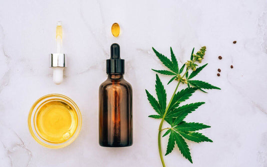 Hemp Seed Oil: A Guide to Radiant Skin and Luscious Hair