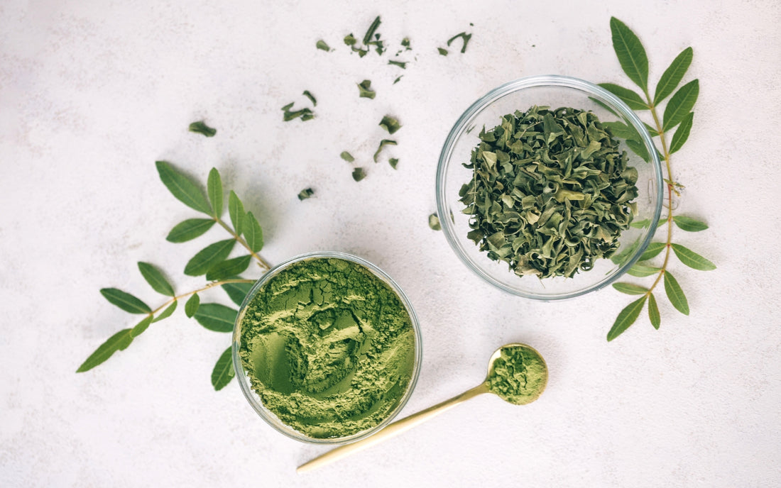 Green Tea Recipes: Scrubs, Serums and Masks