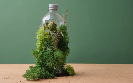 Breaking Down Sustainable Beauty