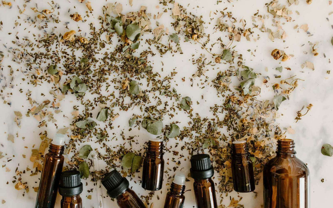 Cramp-a-thon Conquerors: Botanical Edition