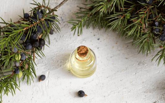 Oil Of The Week: Juniper Berry