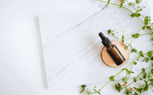 Launching Your Business