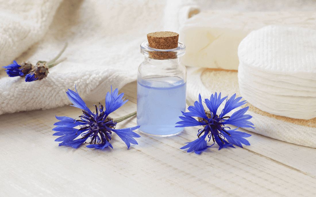 Guide To Making Water Based Botanical Extracts
