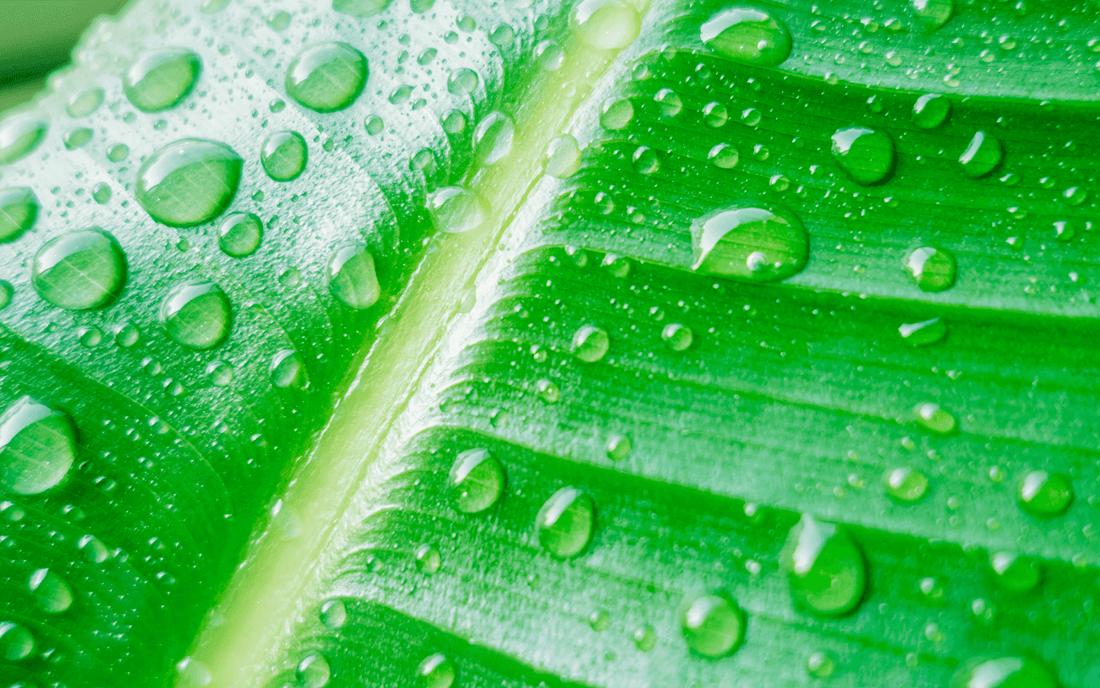 Circular & Zero Waste Beauty