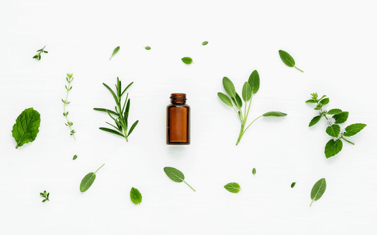 A Quick Guide To Essential Oils