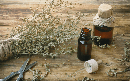Oil Of The Week: African Wormwood