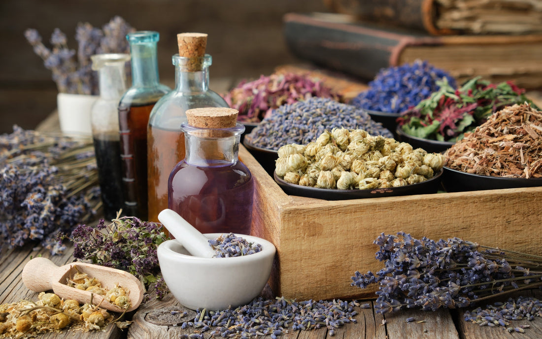 Watch: How To Add Herbal Extracts To Cosmetic Formulas