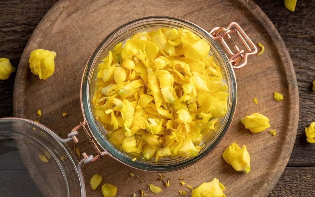 Mullein: Benefits, Uses, and Natural Remedies Explained