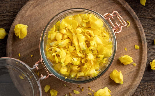 Mullein: Benefits, Uses, and Natural Remedies Explained