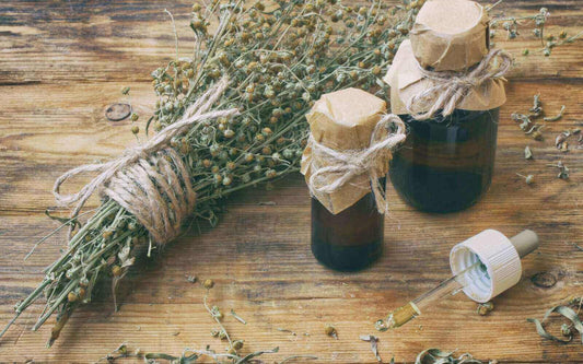 Oilology: African Wormwood