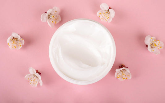 Quick Guide To Working With Bases