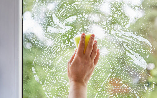 The Great Spring Cleaning Blog