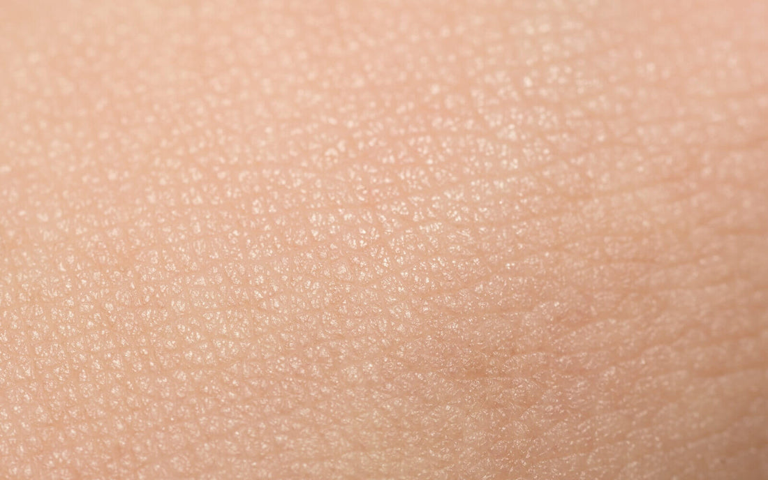 The Skin’s Microbiome Part 2