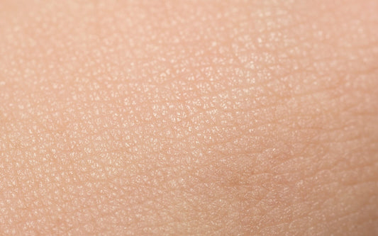 The Skin’s Microbiome Part 2