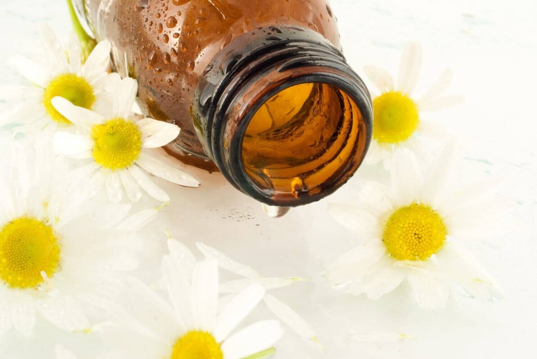 Essential Oil Blends For Sinus & Allergies