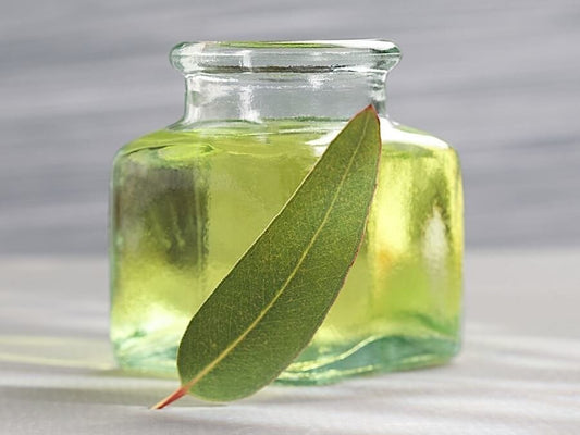 The Amazing Uses and Benefits of Eucalyptus Oil
