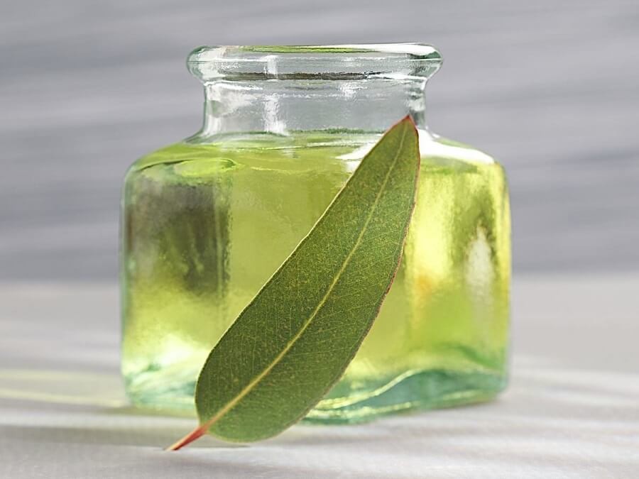 Oilology: The Amazing Uses and Benefits of Eucalyptus Oil