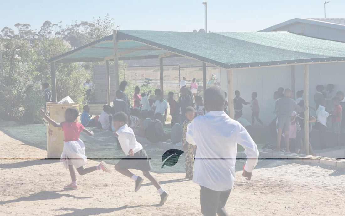 much-needed shade installation at fisantekraal primary 009