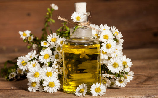 Natural Oils: A Replacement for Moisturiser?