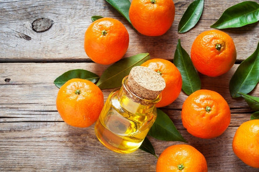 Mandarin Essential Oil: Your Guide to its Benefits, Uses and More!