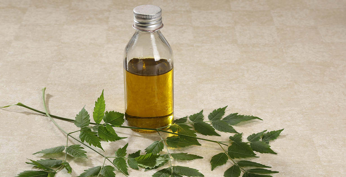 Oil Of The Week: Neem