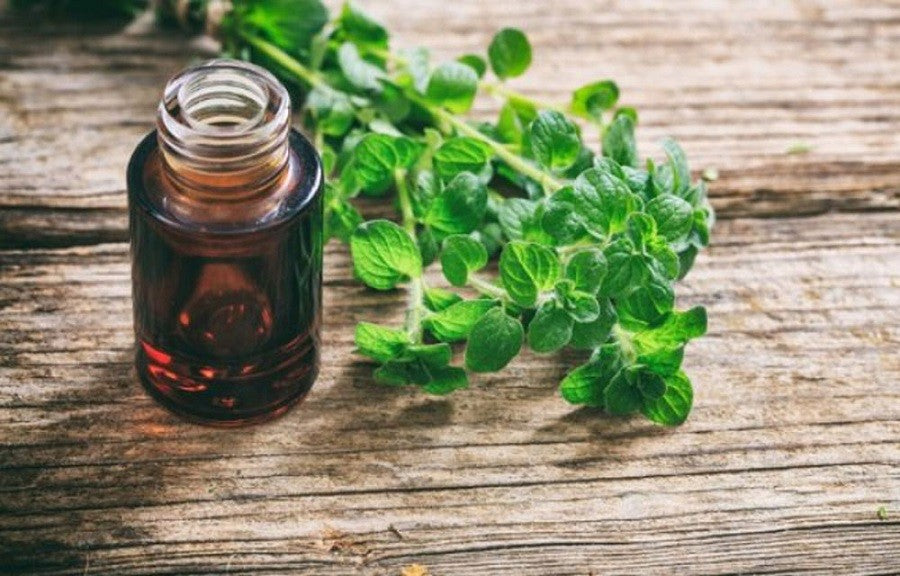 Oregano - The Multipurpose Wonder Oil