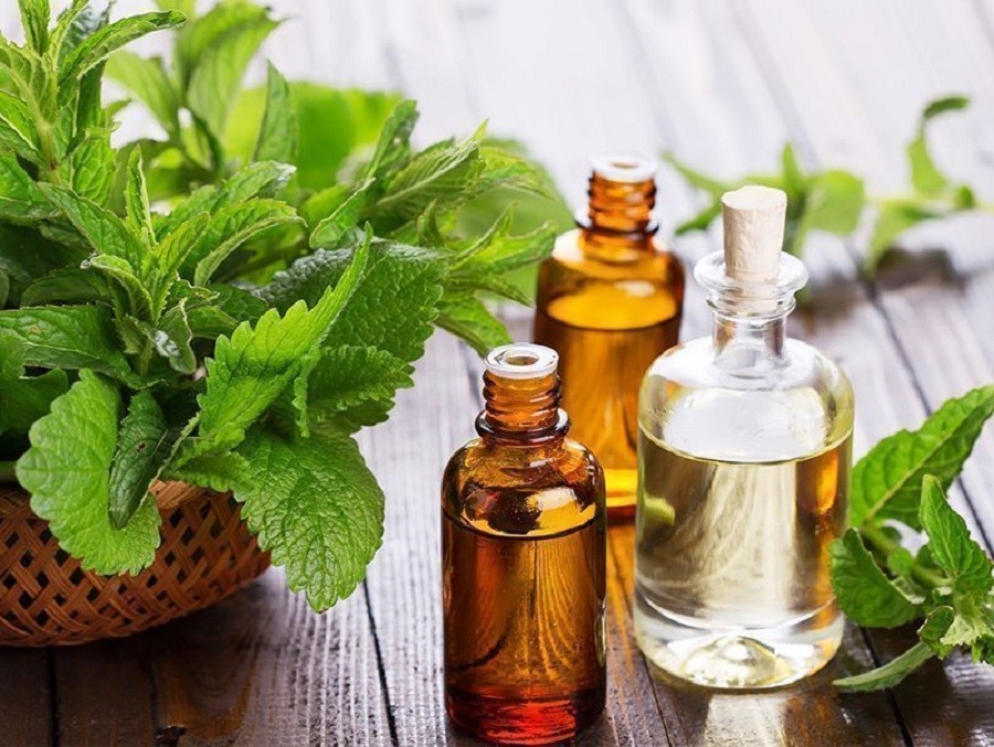 Oilology - Patchouli!