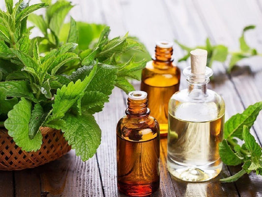 Oilology: Patchouli!