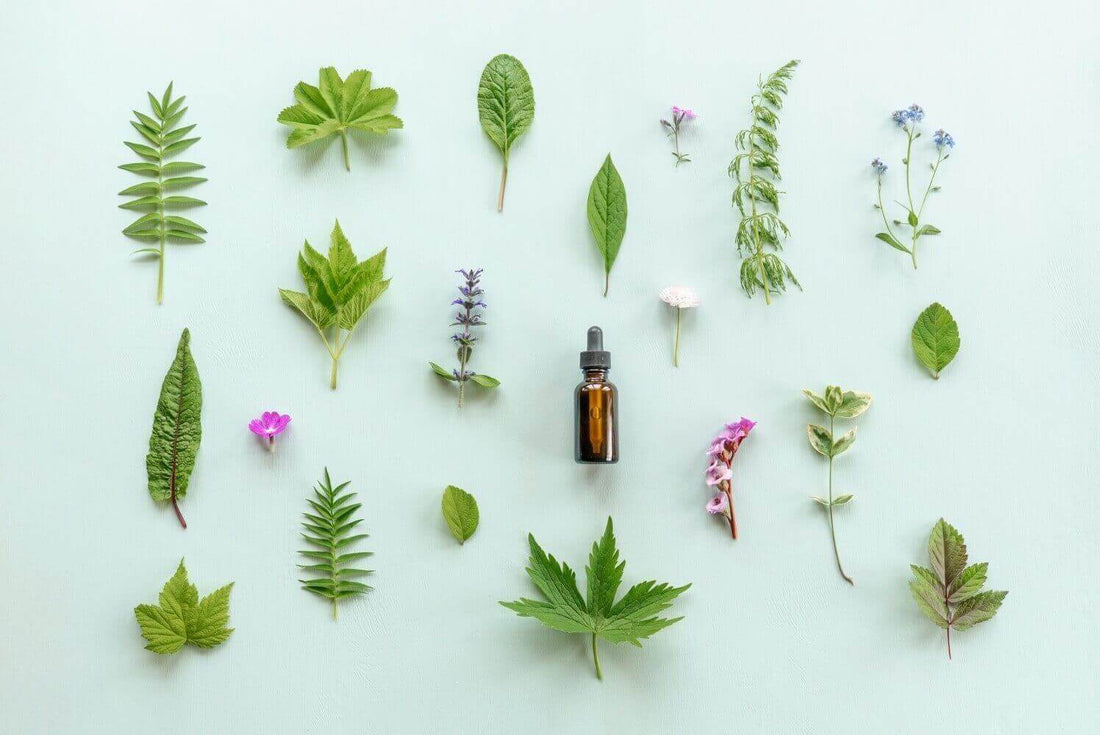 Quick Guide To Essential Oils