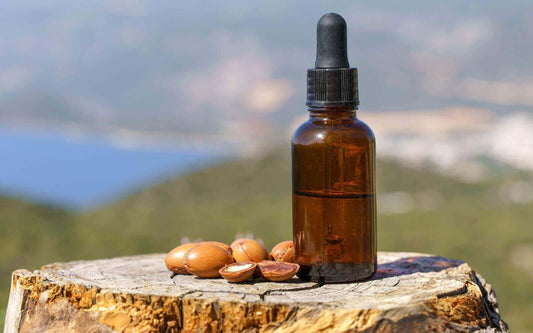 Mongongo Seed Oil: A South African Heritage Treasure for Natural Beauty