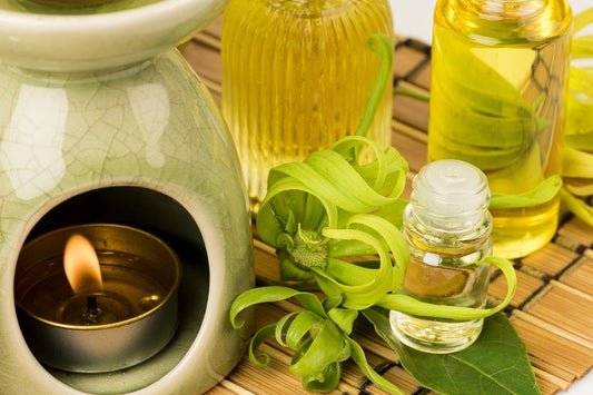 Ylang Ylang Essential Oil