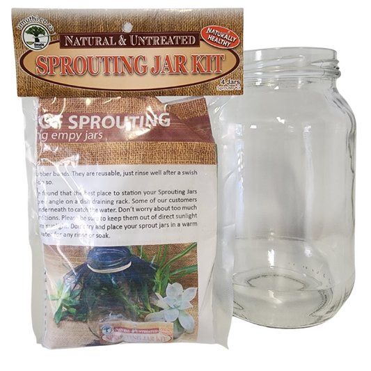 Sprouting Kit with Sample Seeds & 1L Clear Glass Jar