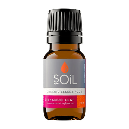 Soil Organic Cinnamon Leaf Essential Oil